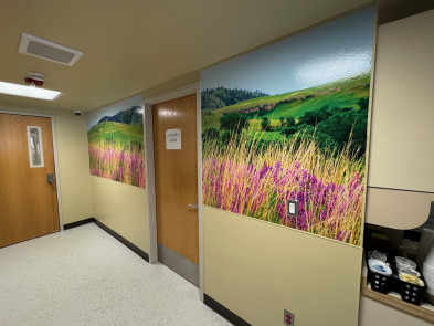 Some of the many scenic murals printed by Monument Health Printing Services