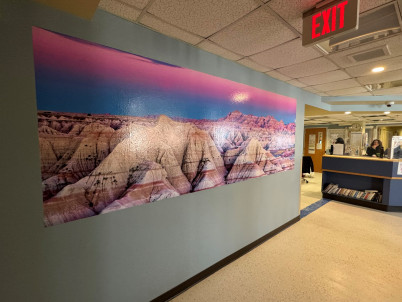 large scenic murals