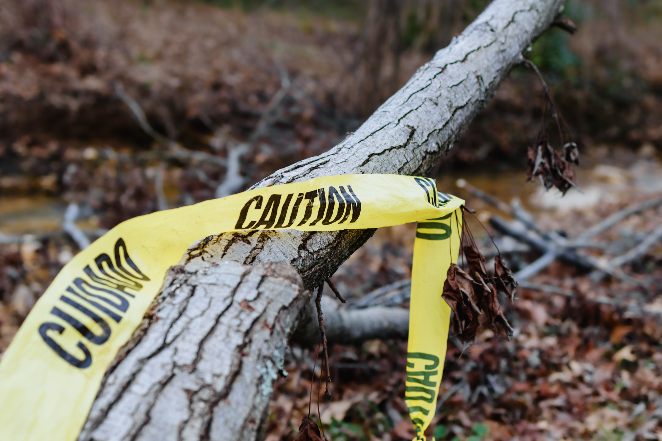 Distributed In Computer Neenah Distribution Recovery Advances After Wisconsin Tornado
